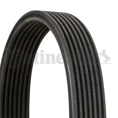 PASEK WIELOROWK. PORSCHE CONTINENTAL CTAM 7DPK2880 7PP903137 Kup online