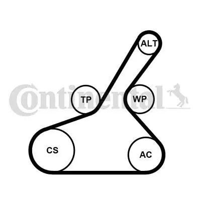 PASEK WIELOROWK. CONTINENTAL CTAM 6PK1190K1 2782020219 Nie przegap
