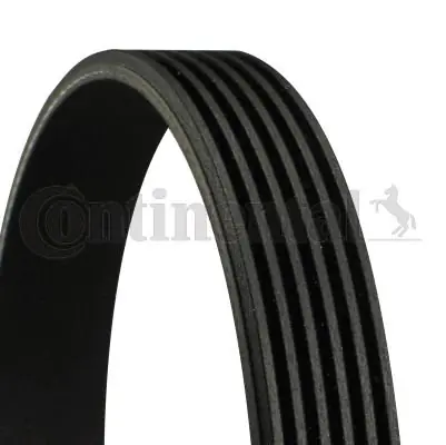 PASEK WIELOROWK. CONTINENTAL CTAM 6PK1015 6PK1018 Oferta czasowa